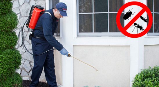 Kandıra Kemirgen İlaçlama böcek ilaçlama ve haşere kontrolü — ilaclama-tr.com